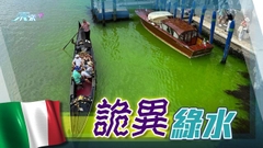 威尼斯大運河部分河水變綠吸引遊客圍觀 環保團體否認涉事