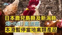 日本鹿兒島縣及新潟縣爆H5N1禽流感　本港暫停當地禽類產品