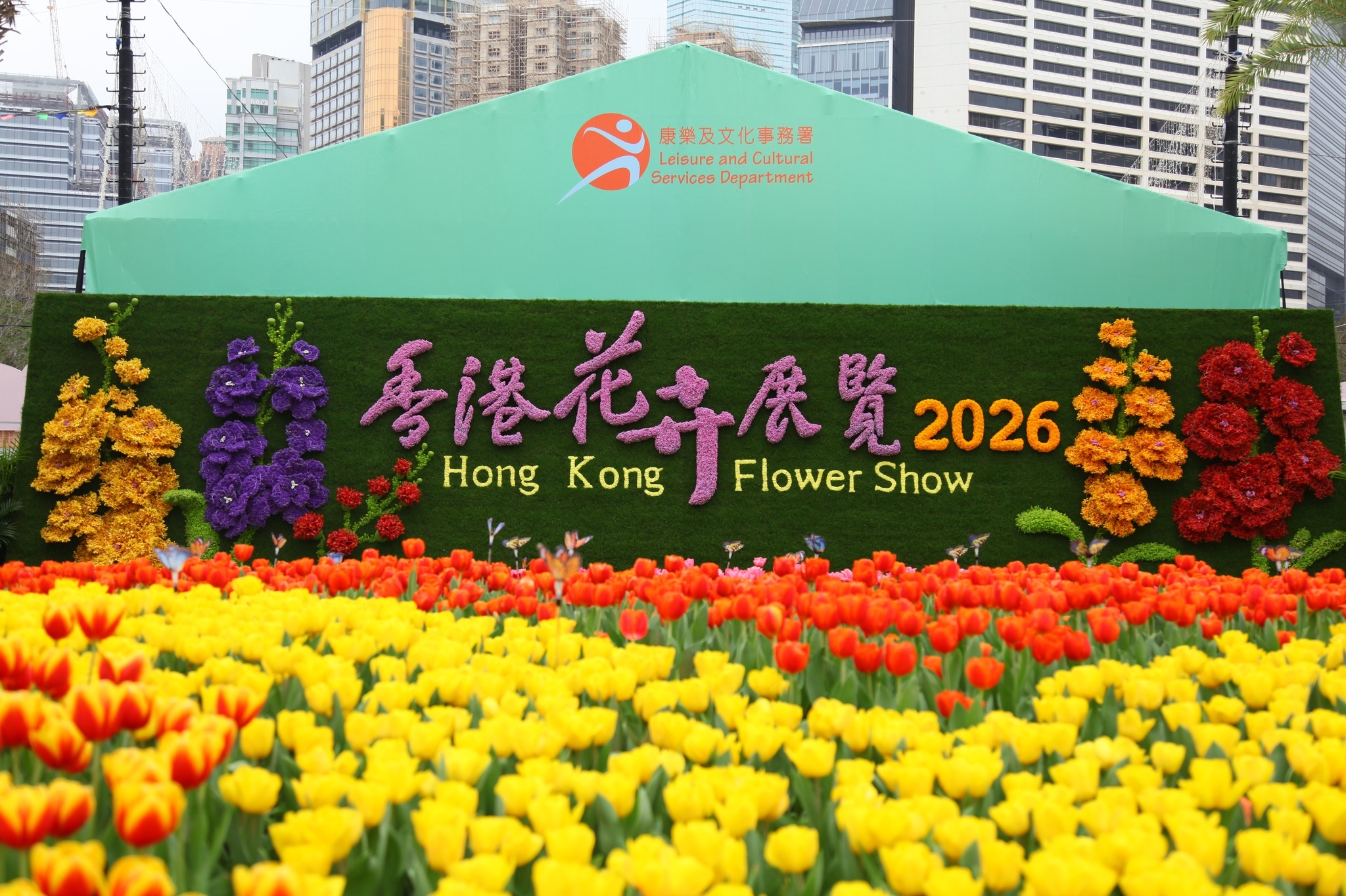 可能是花和顯示的文字是「 20 康樂及文化事務署 Leisure andCultural ServicesDepartment Services Department ज C230 2026 Hong 馬港花 香港花子展覽 Kong Flower Show 」的圖像