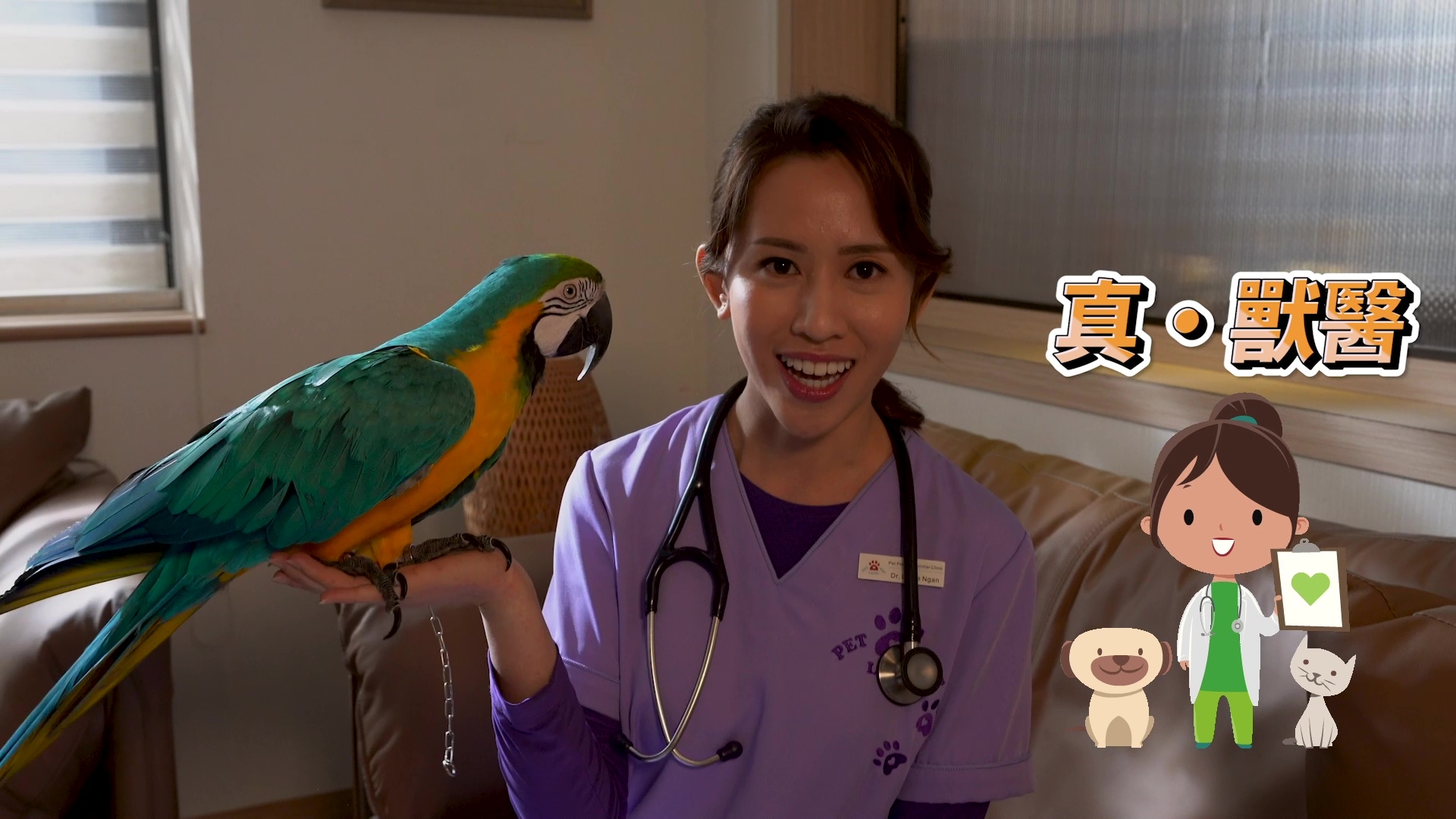 身為獸醫嘅梁菁琳，原來對動物毛屑過敏，證明佢幾咁有愛心。