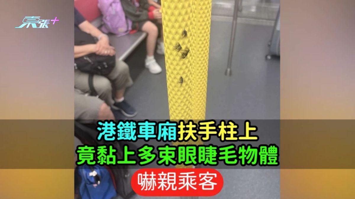 港鐵車廂扶手柱上  竟黏上多束眼睫毛物體  嚇親乘客