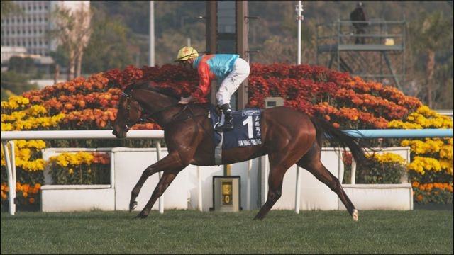 馬王「嘉應高昇」締造18連勝壯舉　破「精英大師」保持21年紀錄