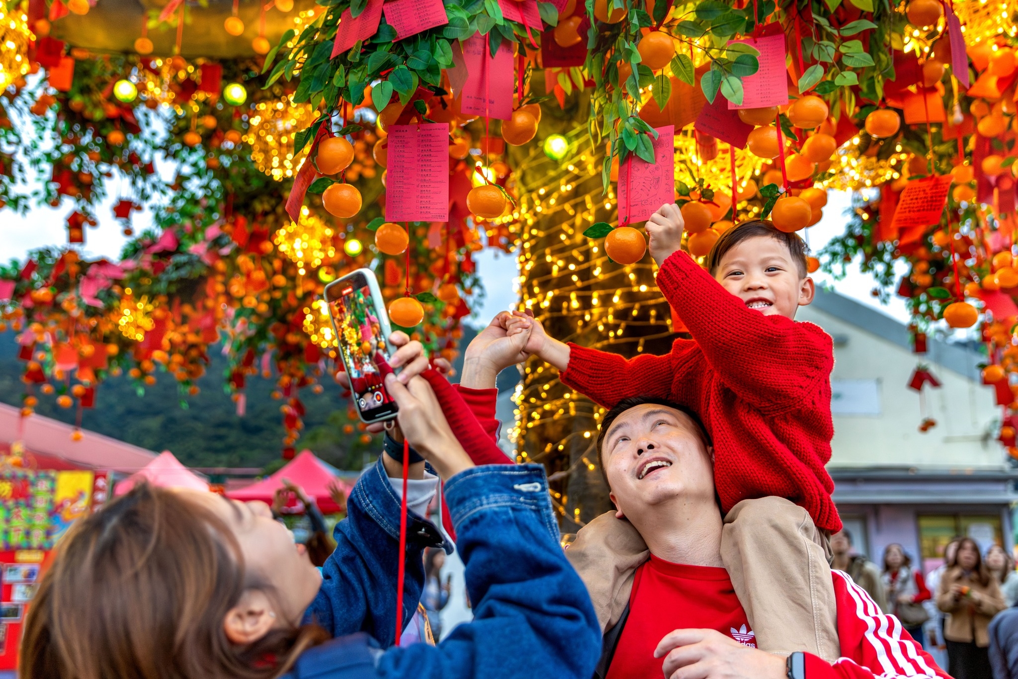 未提供相片說明。