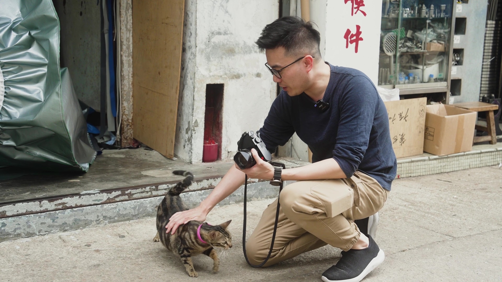 街頭貓咪攝影家 Jonas 。