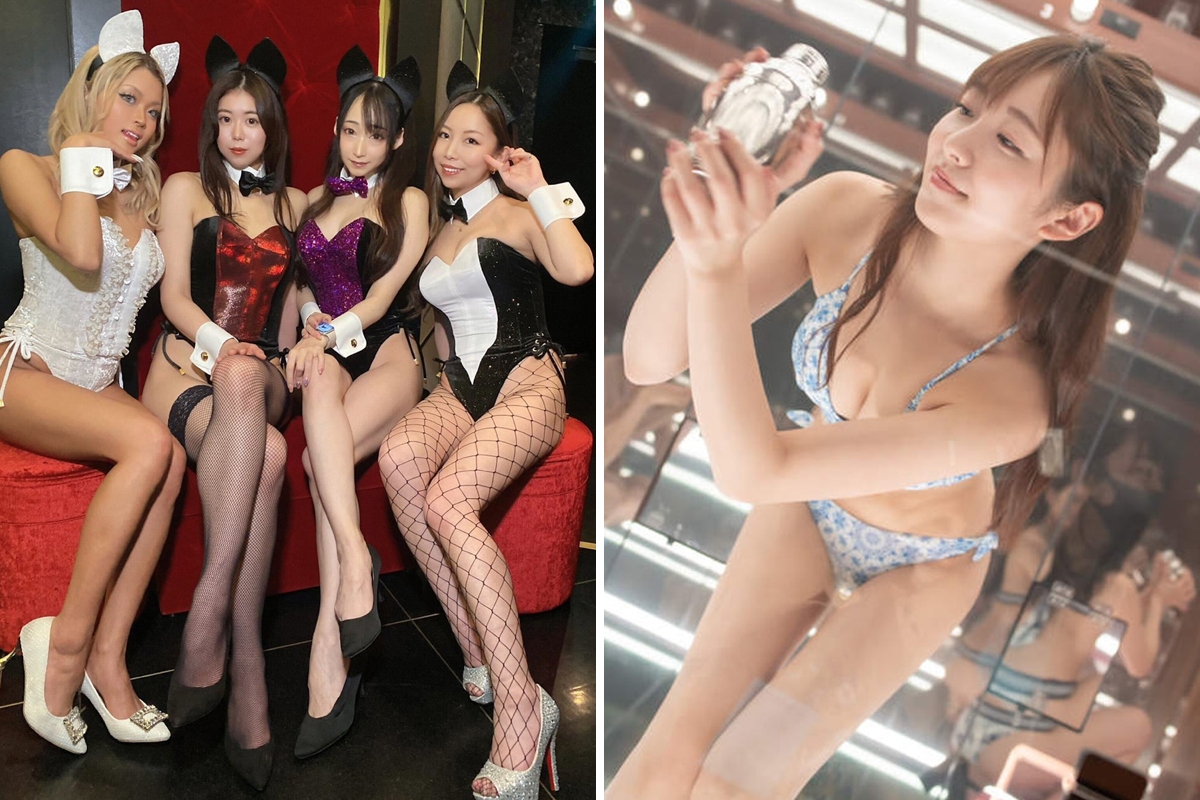 SOD LAND營業情況。
