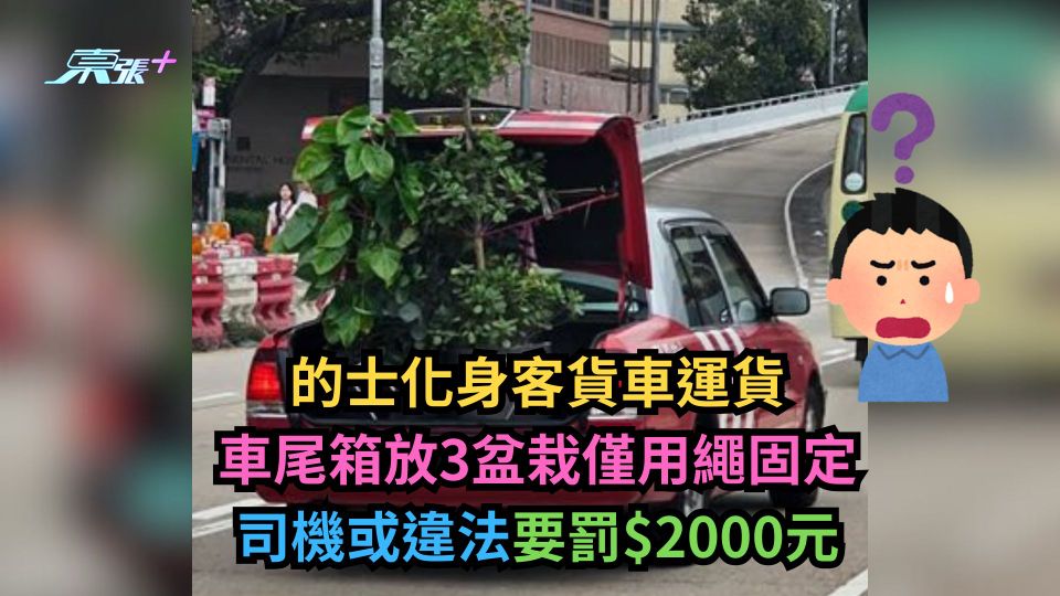 的士化身客貨車運貨　車尾箱放3盆栽僅用繩固定　司機或違法要罰$2000元