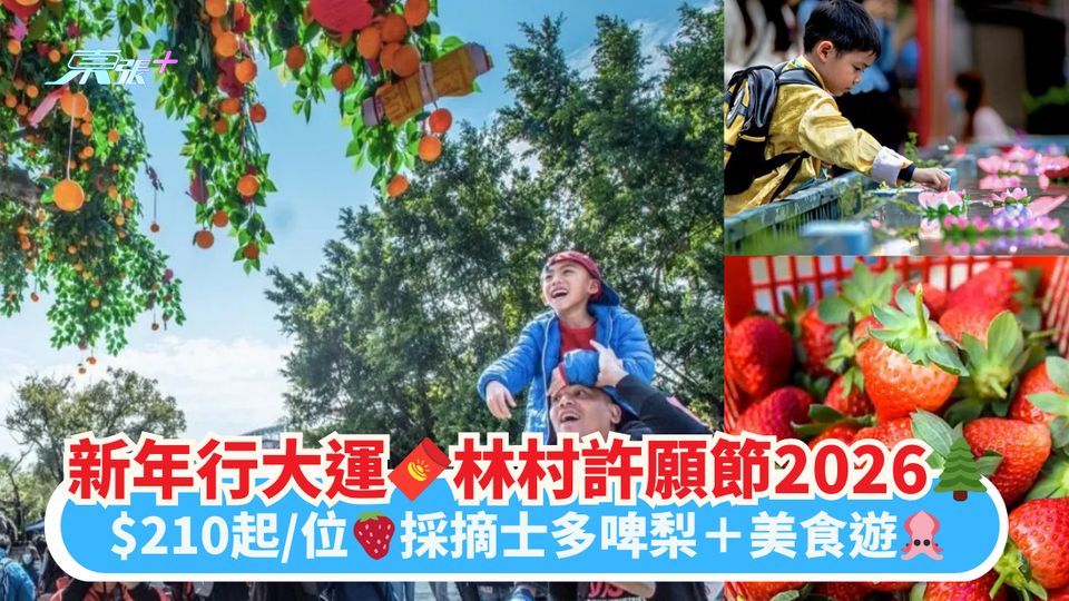 新年行大運🧧林村許願節2026🌲｜$210起/位🍓採摘士多啤梨＋美食遊🦑