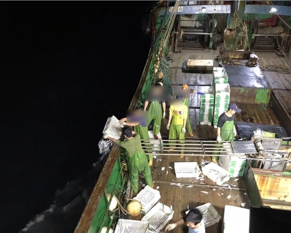台灣執法人員將大陸漁船上的3噸漁獲拋落海中。網絡圖片