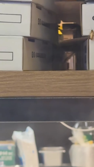 紅磡Pizza店曱甴周圍走