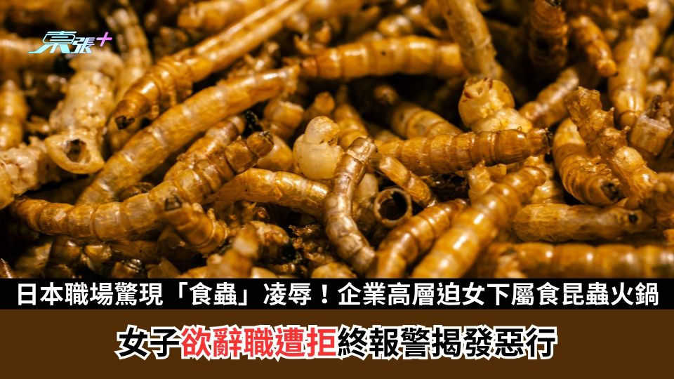 日本職場驚現「食蟲」凌辱！企業高層迫女下屬食昆蟲火鍋　女子欲辭職遭拒終報警揭發惡行