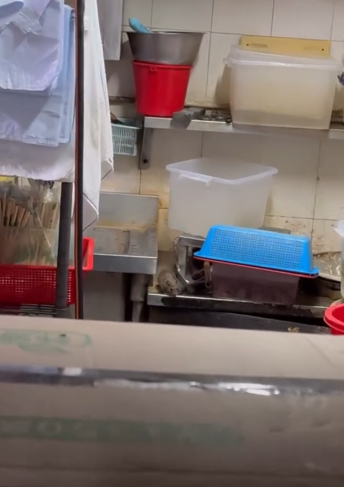 老鼠爬過餐盒調味瓶 衞生隱憂恐傳播致命病毒