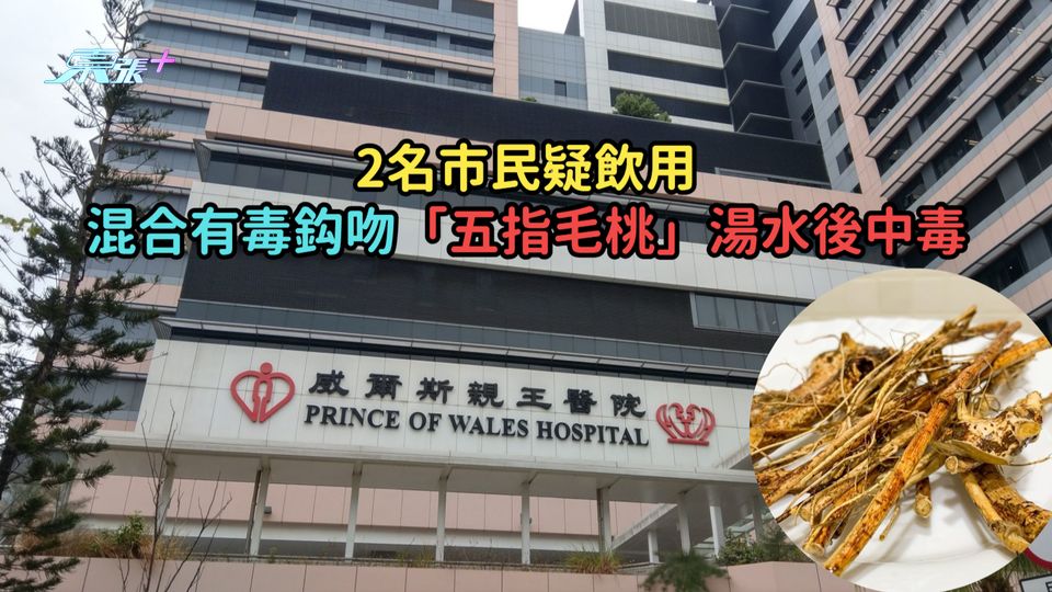 2名市民疑飲用混合有毒鈎吻「五指毛桃」湯水後中毒