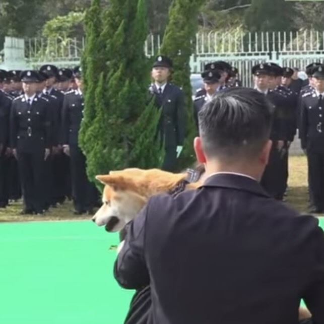 殉職消防隊目何偉豪靈柩下葬浩園 未婚妻悲痛淚灑當場 狗狗在場送別主人 - 東張+