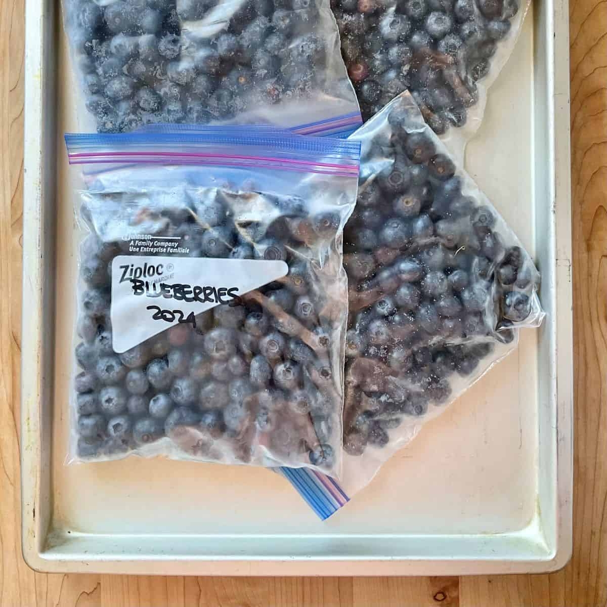 How to Freeze Blueberries: Tips and Tricks - She Loves Biscotti