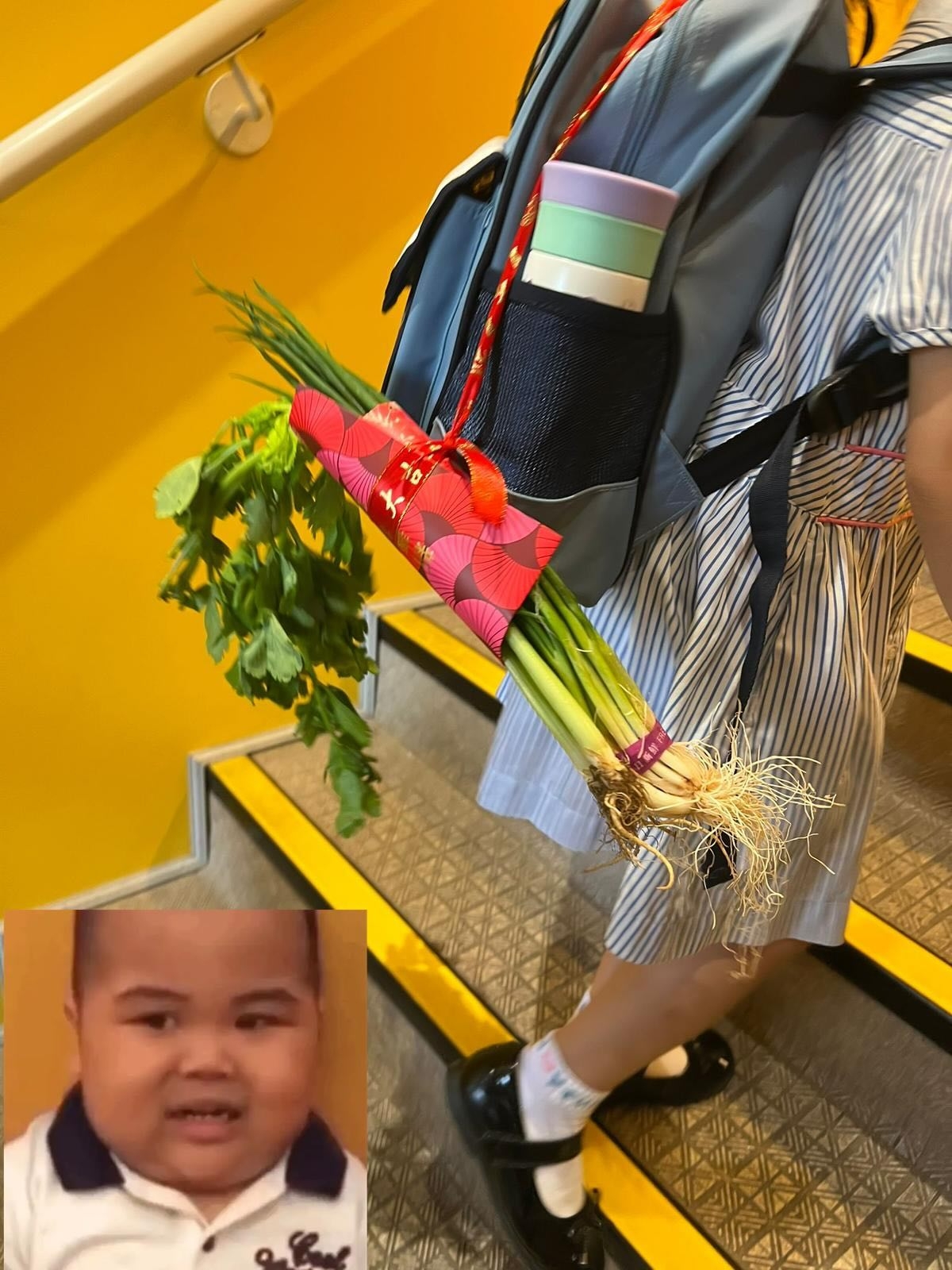 開學日｜小學生書包掛葱及芹菜返學　網民疑惑是否習俗　原來有原因