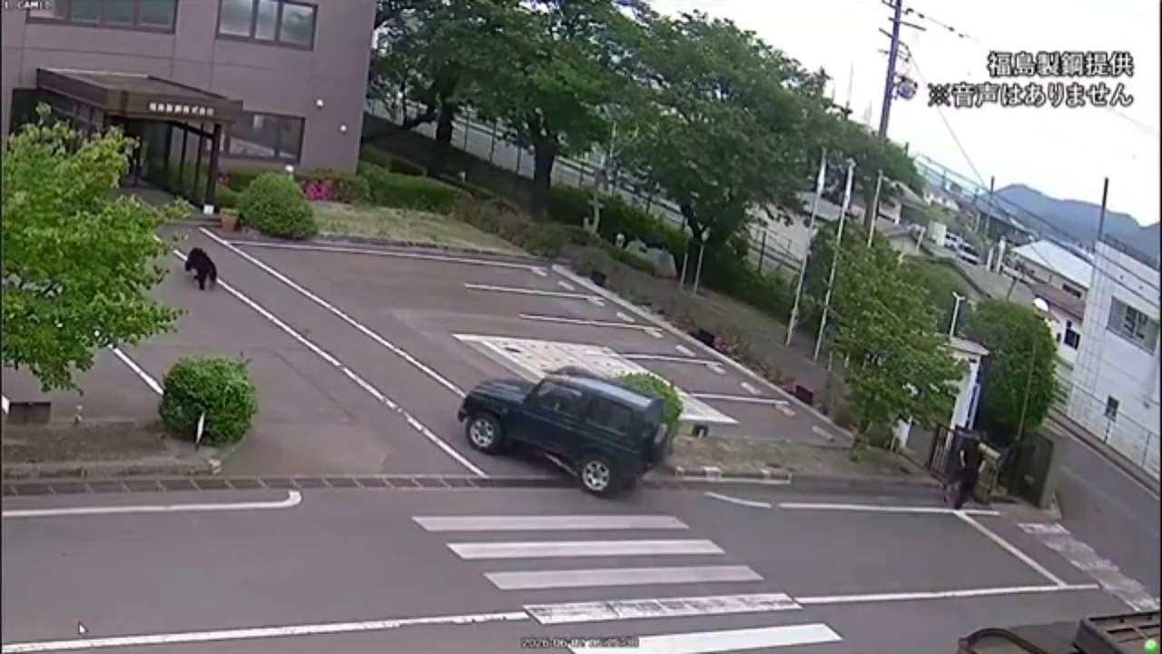 男員工嘗試逃跑擺脫野熊不果，野熊從後把他撲倒，之後跑進旁邊一幢建築物。（Threads影片截圖／@osakapleb）