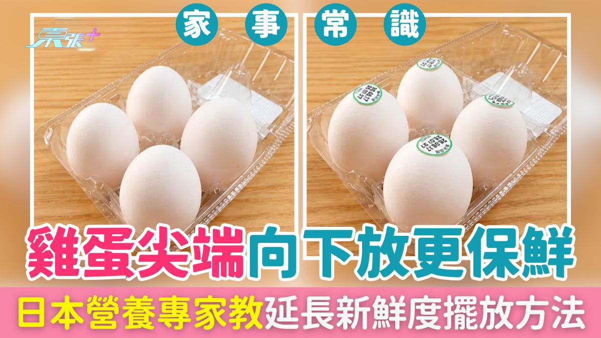 家事常識｜雞蛋尖端向下放更保鮮!日本營養專家教雞蛋延長新鮮度方法