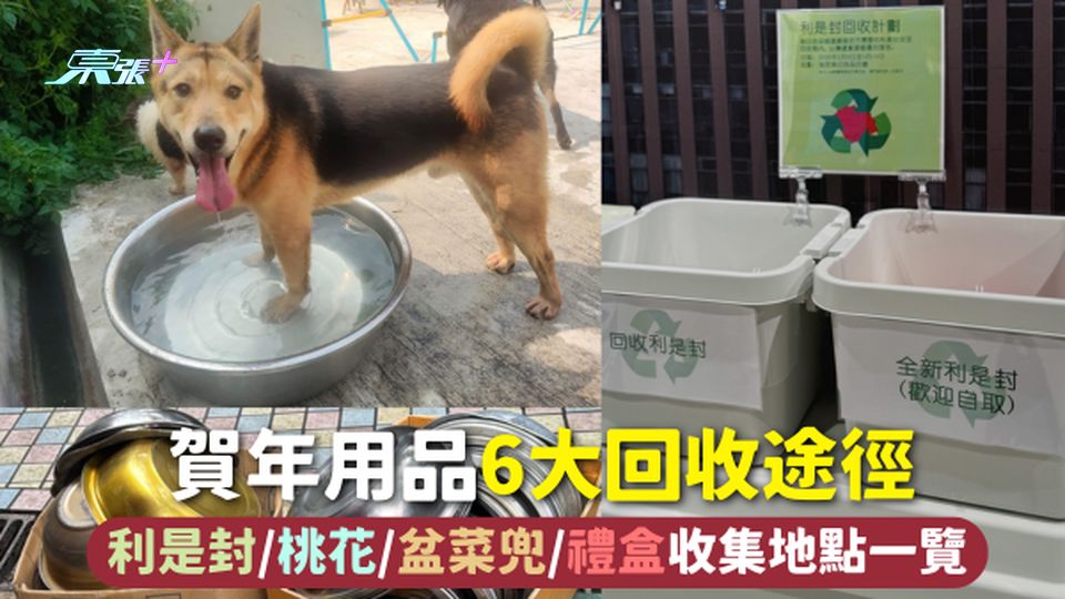 新年回收2026 | 賀年用品6大回收途徑 利是封/桃花/盆菜兜/禮盒收集地點一覽