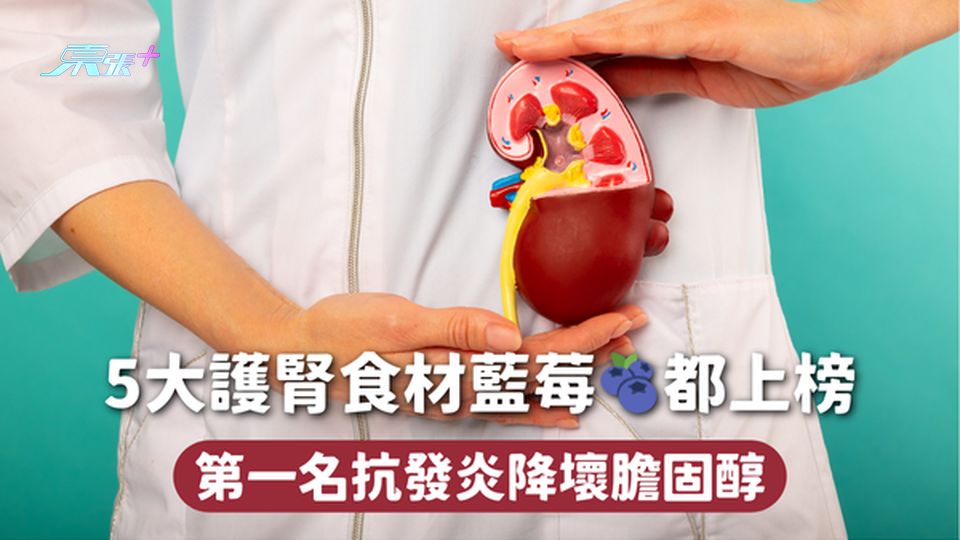 5大護腎食材藍莓🫐都上榜 第一名抗發炎降壞膽固醇