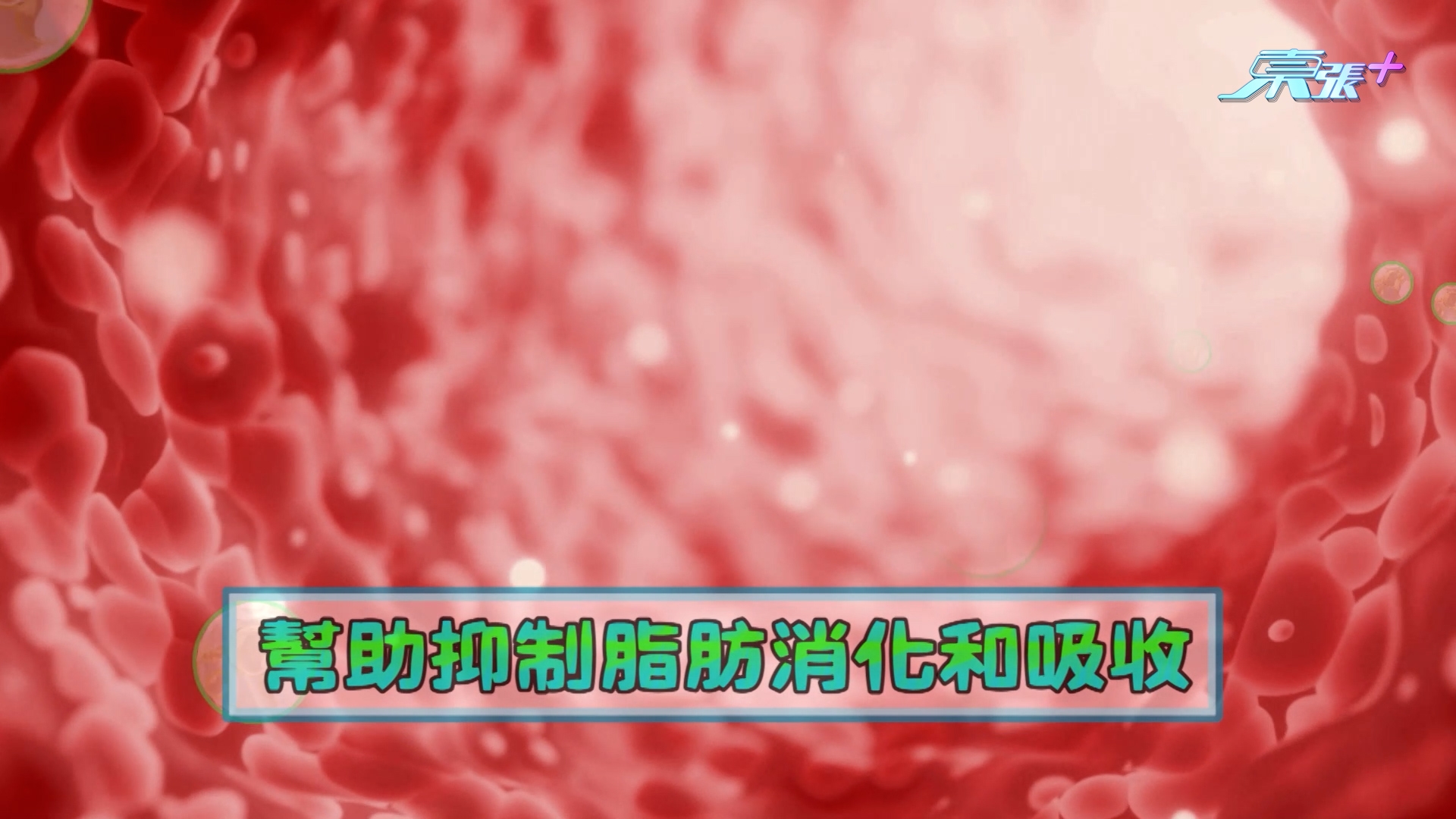 註冊藥劑師Terrence表示，益生菌的確可以幫助修身。他指出，只要補充合適益生菌，例如「比菲德氏菌」，就可以平衡腸道內好菌及壞菌的比例，「可以促進短鏈脂肪酸（SCFA）製造，加強我哋身體嘅代謝，幫助抑制脂肪嘅消化同吸收，可以軟化宿便、排腸毒，更可以減少內臟脂肪嘅積聚。」