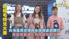 超級毛特兒大賽丨向海嵐周奕瑋與毛孩相處感親切 黃嘉雯著重人狗相處有默契