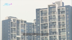 摩根士丹利料內地明年第二季後經濟上行或超出預期