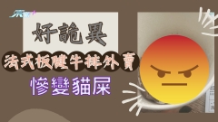 好詭異！法式板腱牛排外賣慘變貓屎？！