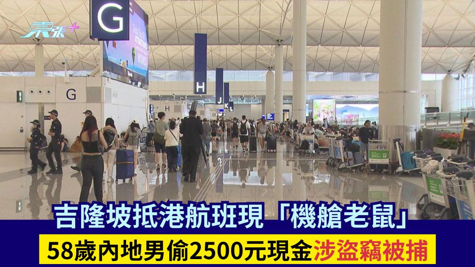 吉隆坡抵港航班現「機艙老鼠」 58歲內地男偷2500元現金涉盜竊被捕