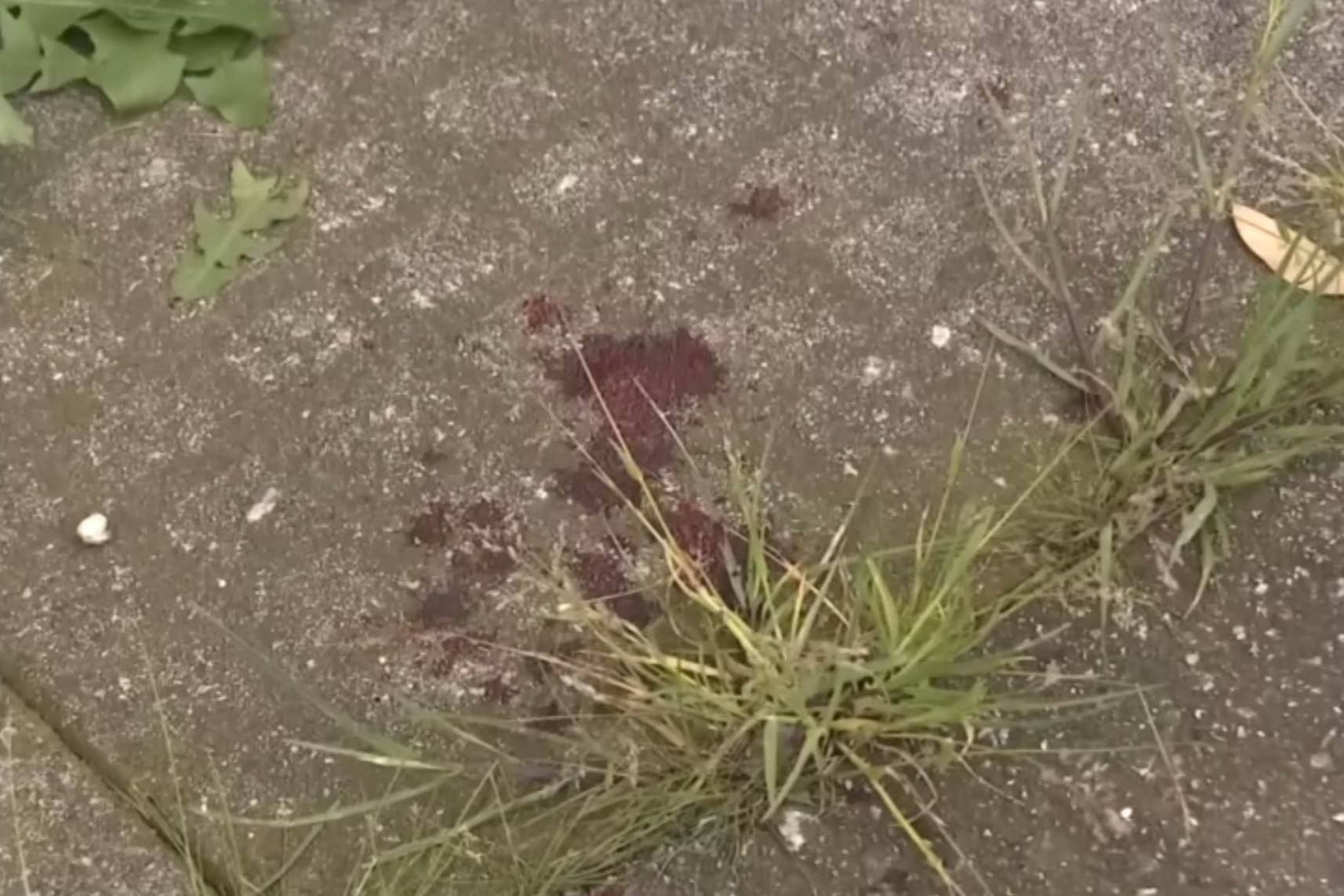 現場遺下血跡。（YouTube影片截圖／@ntv_news） 