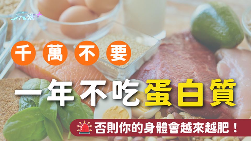 一年不吃蛋白質 身體原來會越來越肥？你一定要看！
