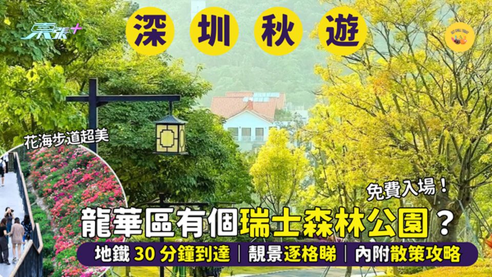 龍華區有個小瑞士？🇨🇭免費森林公園🌲｜地鐵 30 分鐘到達｜靚景逐格睇