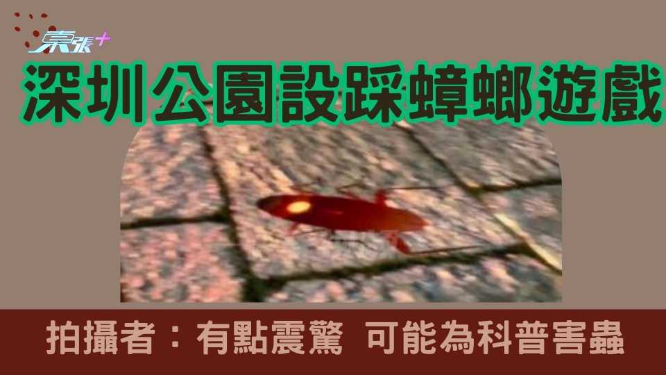 有片｜深圳公園設踩蟑螂遊戲 拍攝者：有點震驚 可能為科普害蟲