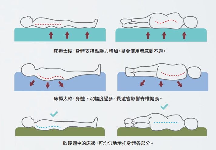 消委會雙人床褥