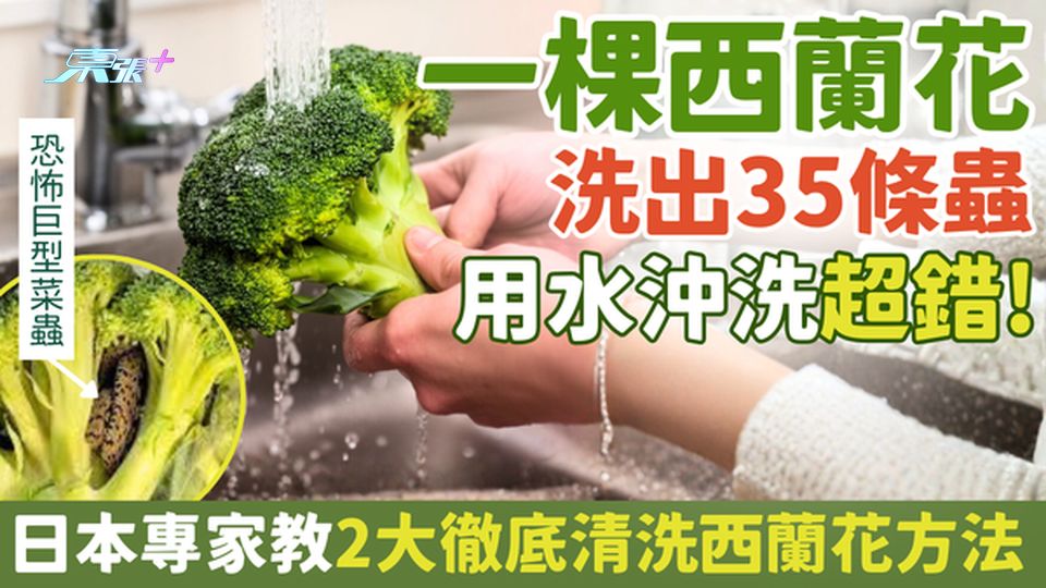 家事常識｜一棵西蘭花洗出35條蟲！用水沖洗超錯！即睇2大徹底清洗西蘭花方法