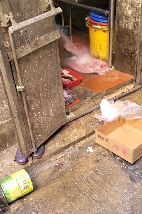 東張西望跟進｜旺角餐廳廚房地板「沖洗魚塊」　食環署：已向負責人提檢控