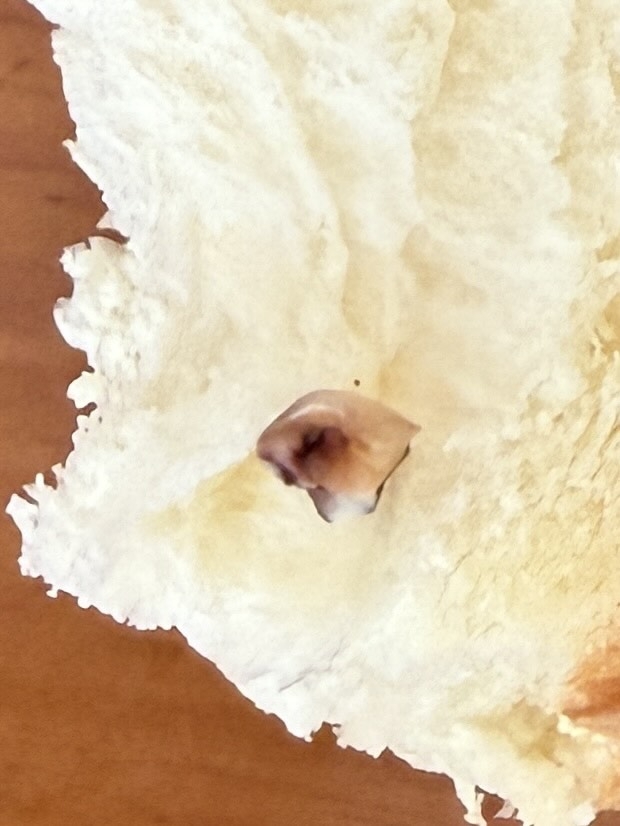 連鎖麵包店買包吃出硬物竟為「牙齒」　事主：係一粒蛀曬嘅牙 (Threads@owl.4865383)