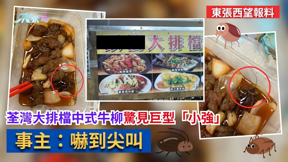 東張西望報料｜荃灣大排檔中式牛柳驚見巨型「小強」　事主：嚇到尖叫
