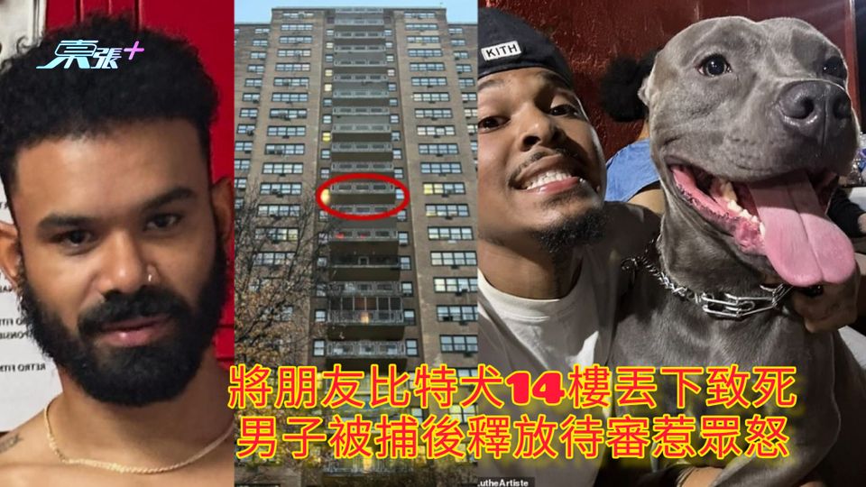 將朋友比特犬14樓丟下致死 男子被捕後釋放待審惹眾怒