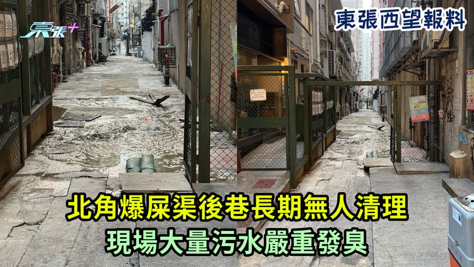 東張西望報料｜北角爆屎渠後巷長期無人清理 現場大量污水嚴重發臭