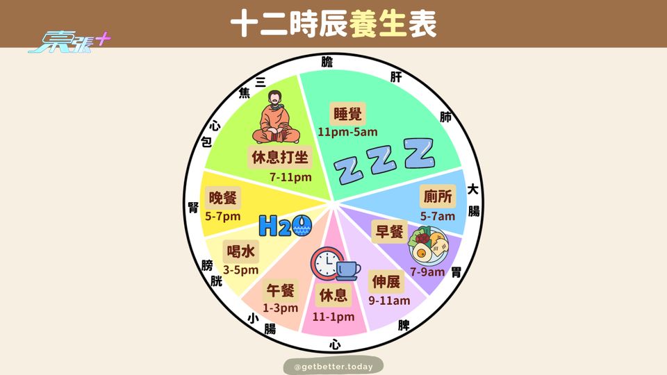 【中國千年養生智慧】十二時辰養生表 #至識健康