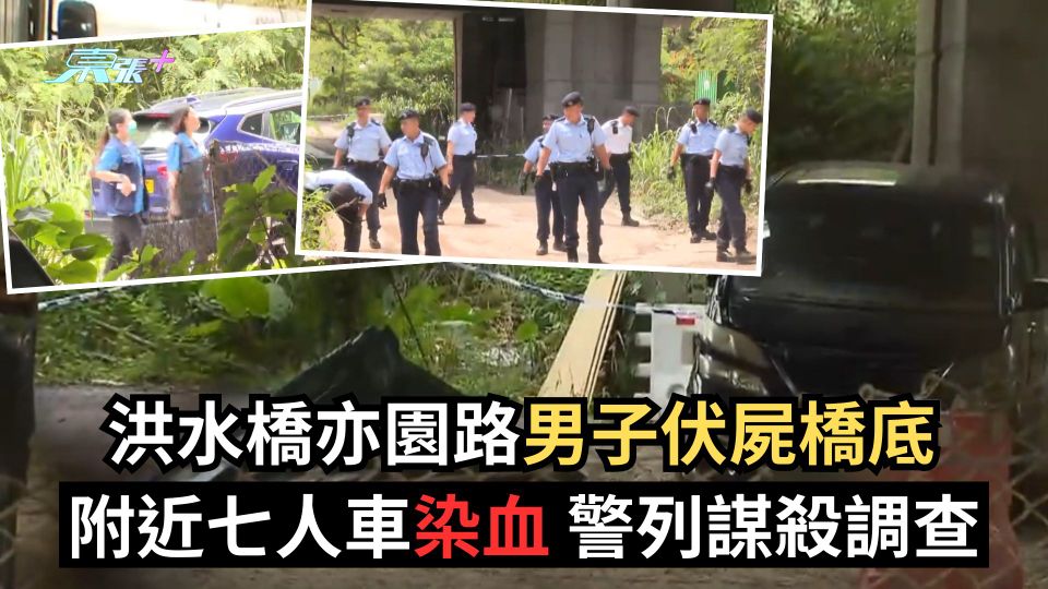 洪水橋亦園路男子伏屍橋底　附近七人車染血　警列謀殺調查