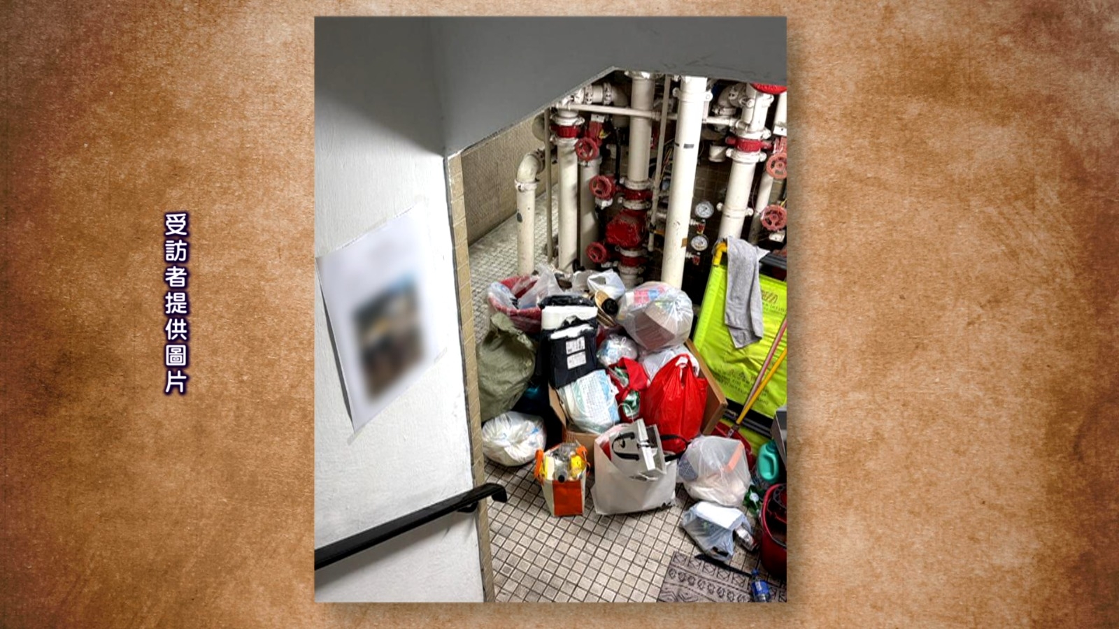 垃圾堆積引發嚴重蟲患