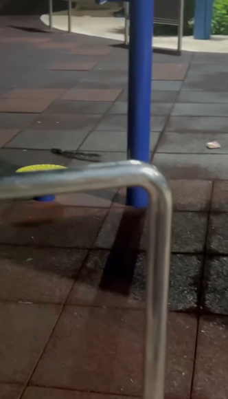 有片｜港公園「老鼠」全家出沒嚇途人似鼠形蜈蚣　街坊揭真身原來係佢