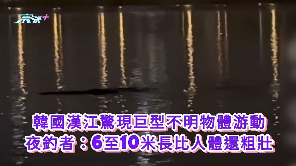 有片丨韓國漢江驚現巨型不明物體游動 夜釣者：6至10米長比人體還粗壯