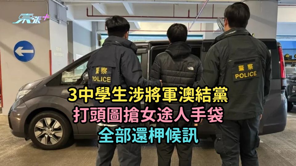 3中學生涉將軍澳結黨打頭圖搶女途人手袋  全部還柙候訊