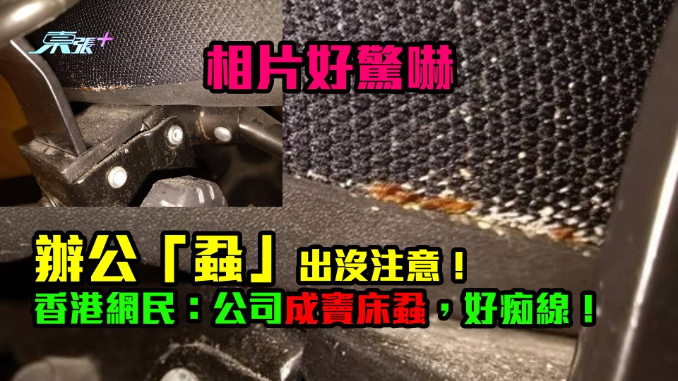 相片好驚嚇｜辦公「蝨」出沒注意！香港網民：公司成竇床蝨，好痴線！