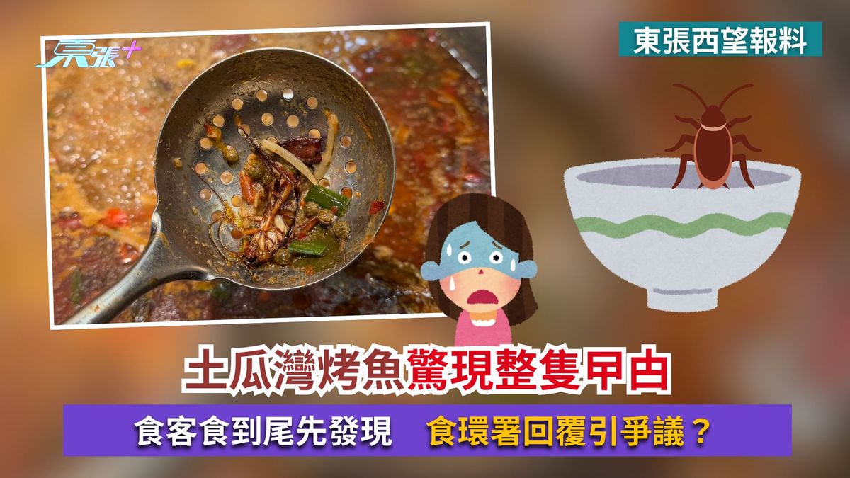 东张西望报料｜土瓜湾烤鱼惊现整只曱甴　食客食到尾先发现　食环署回复引争议？