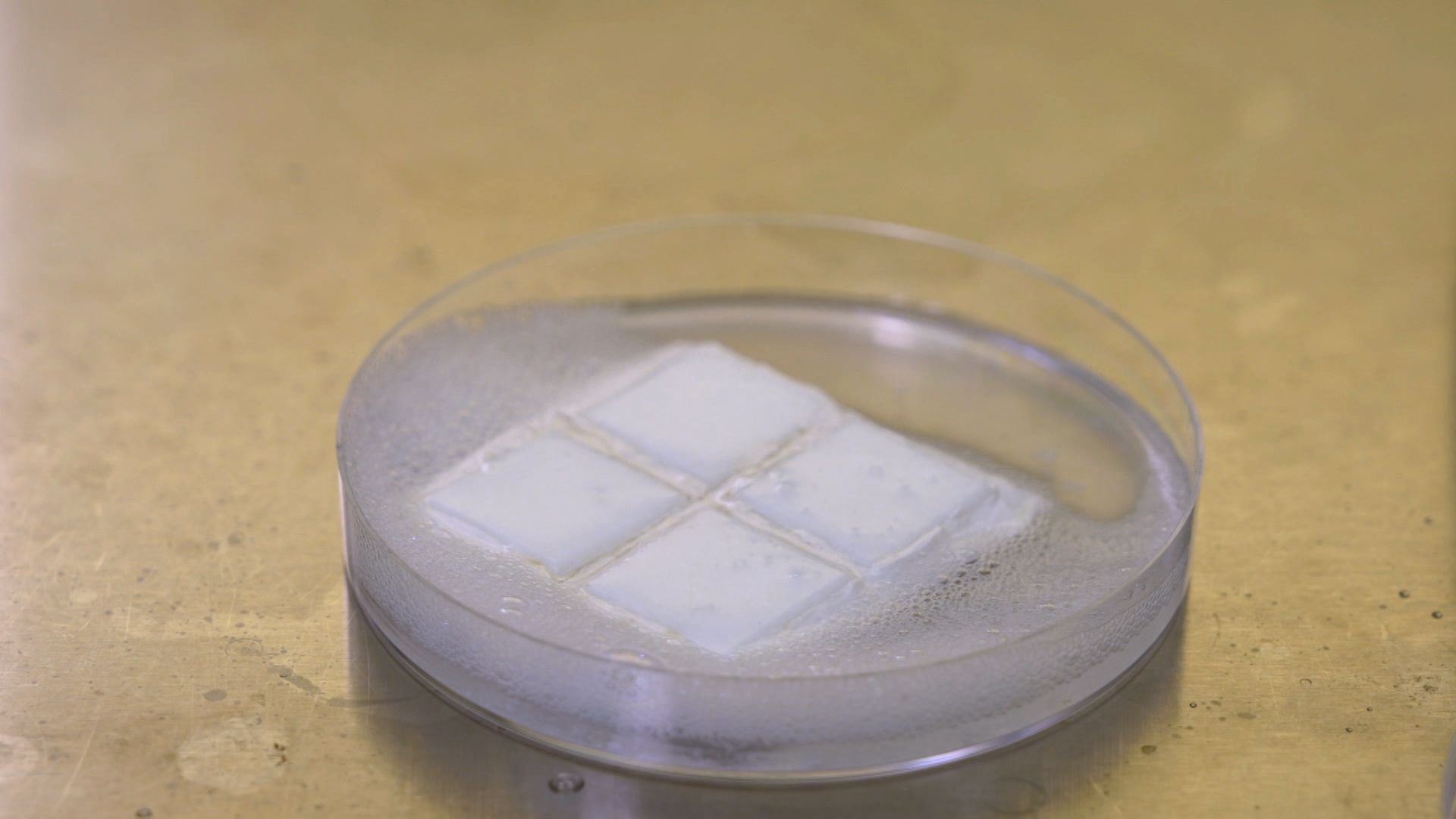 實驗結果是，在瓷磚上噴了防霉泡沫後，瓷磚上的霉菌全都沒了。 K. C. Daniel表示：「清楚見到防霉泡沫可以滲透霉菌，並且去除。」