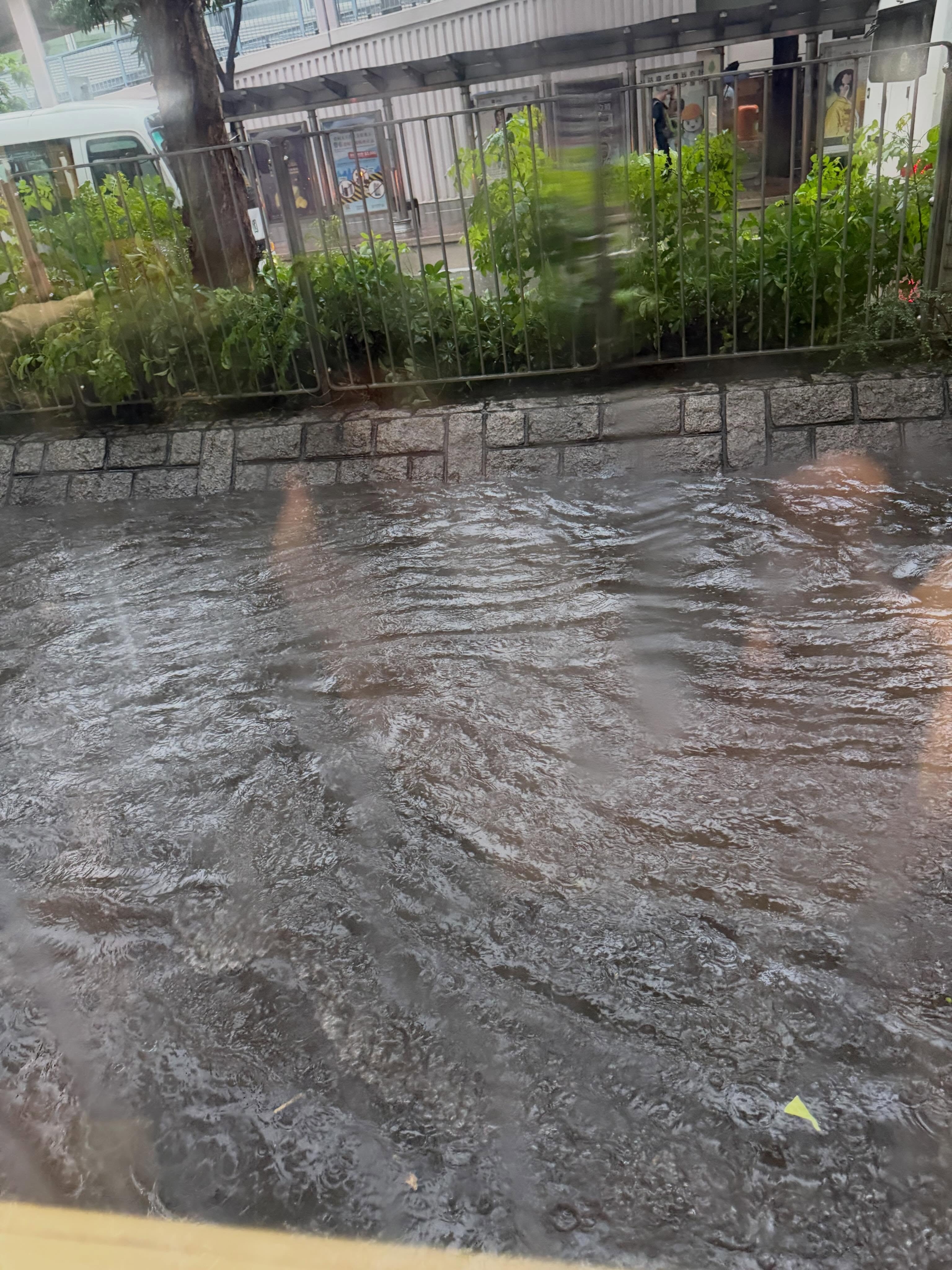Photo by Dic on May 20, 2026. May be an image of body of water and text.