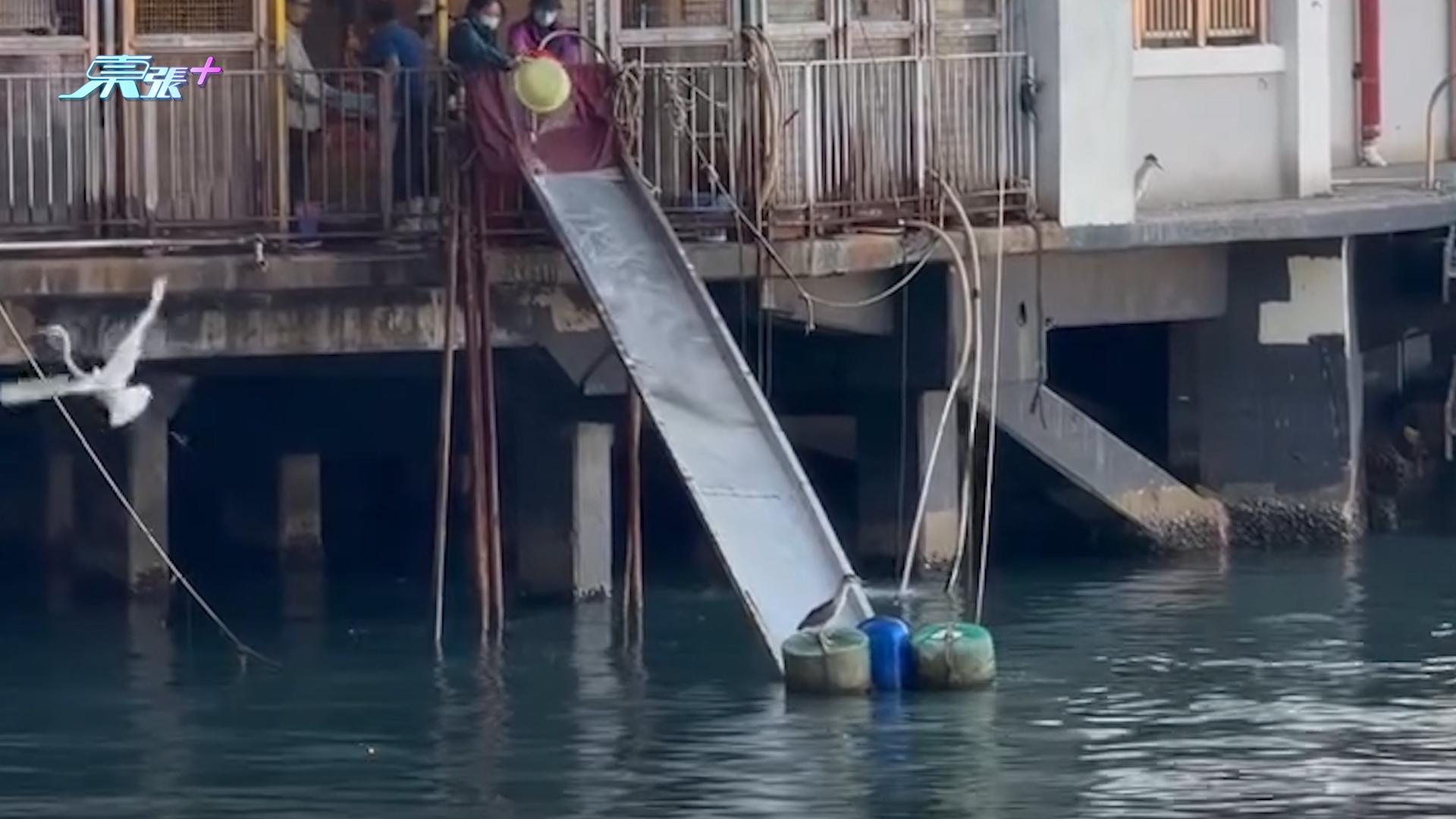 北角碼頭大人細路公然放生，仲開「瀡滑梯」及大水喉伺候。 (Threads@tumtumtummy_tommy)